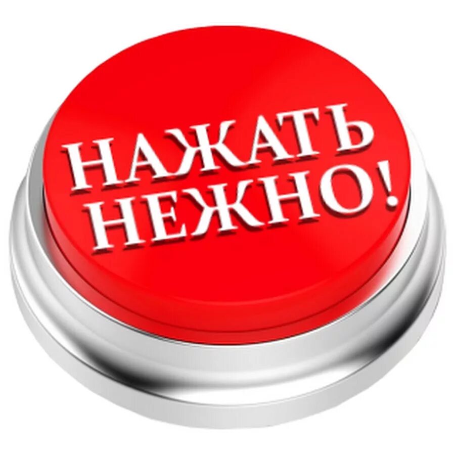 Нажми собачку