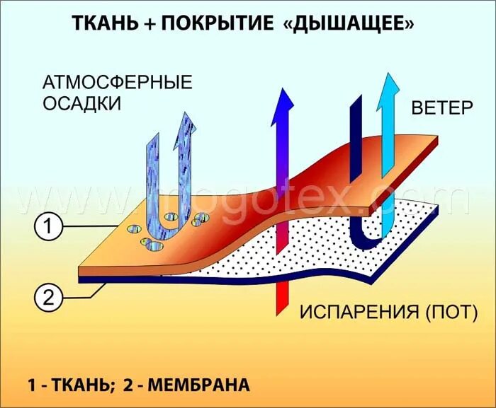 Что не пропускает воздух. Ткань пропускает воздух. Воздух бесцветен. Воздухопроницаемость дрееа. Ткань пропускает воздух иконка.