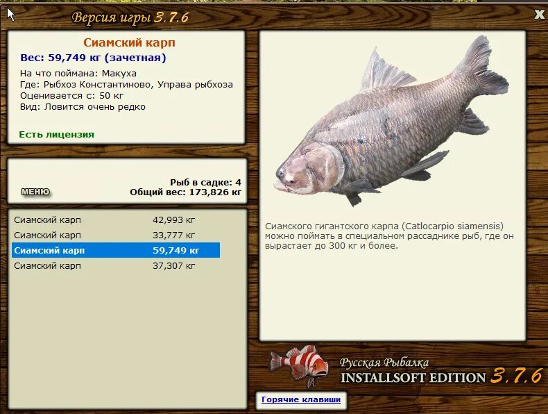 дема плотва русская рыбалка. русская рыбалка 3 7 6 рыбхоз константиново сиамский карп. сиамский карп 200кг. русская рыбалка 3 рыбхоз щука. сиамский карп 105 кг.