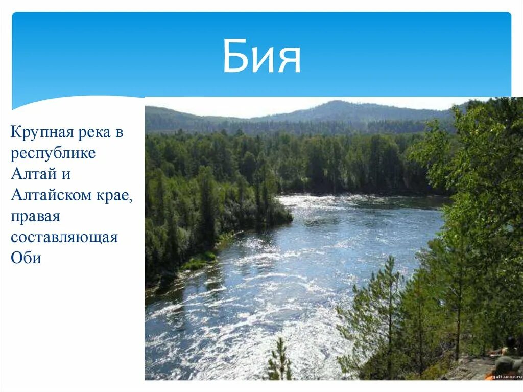 Река Бия Алтайский край. Бия река реки Республики Алтай. Притоки реки Бия в Алтайском крае. Исток бии Телецкое озеро. Направление реки бия