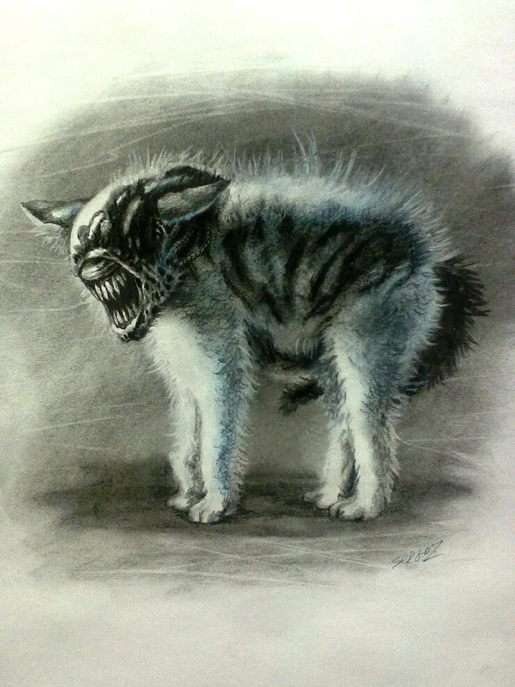 кот джонси из чужого. чужой с коте. чужой и котик. чужой рипли и кот. кот чужой.