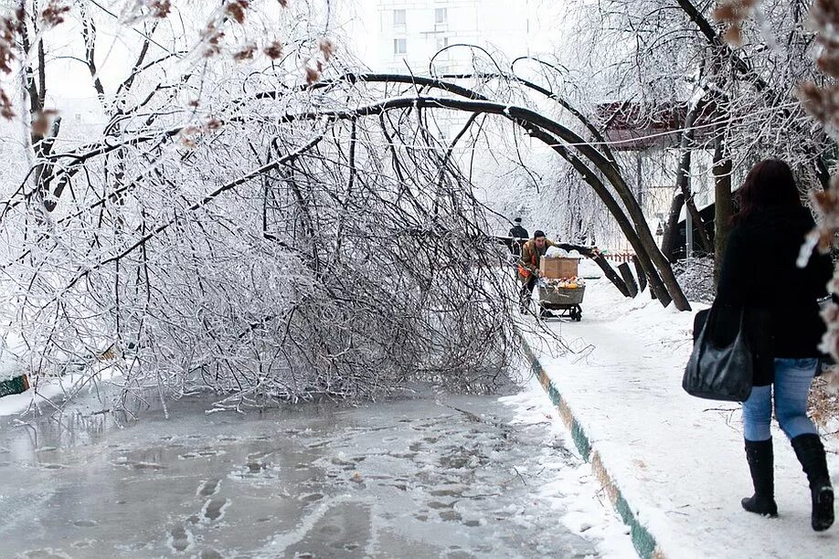 Ветер в москве деревья. Ледяной дождь в Москве 2010. Ледяной дождь в России 2010 год. Ледяной дождь в Подмосковье в 2010. Ледяной дождь в России (2010 г, декабрь).