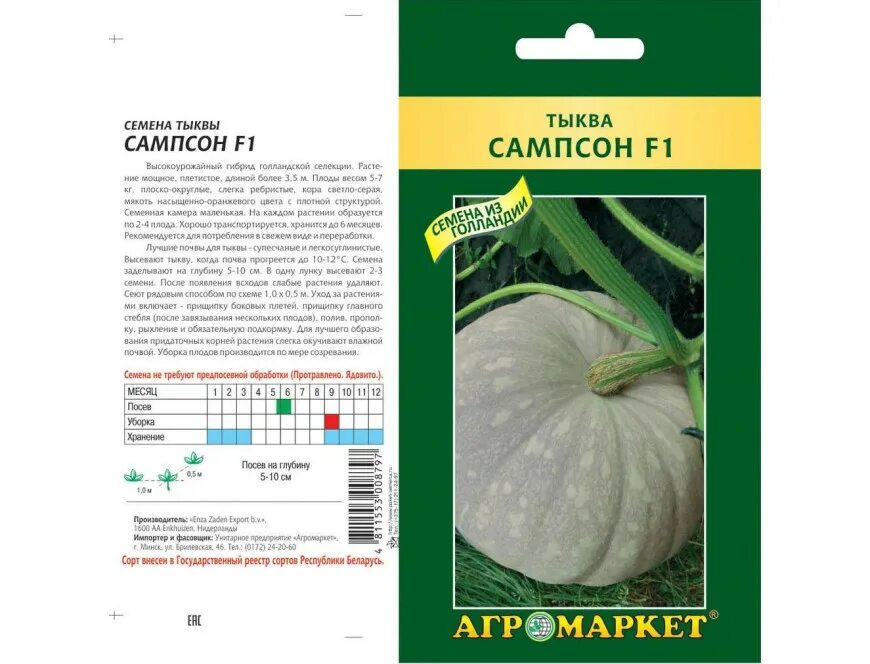 Тыква сампсон f1. Сорт тыквы сампсон. Тыква нельсон f1. Тыква сампсон. Тыква самсон f1.