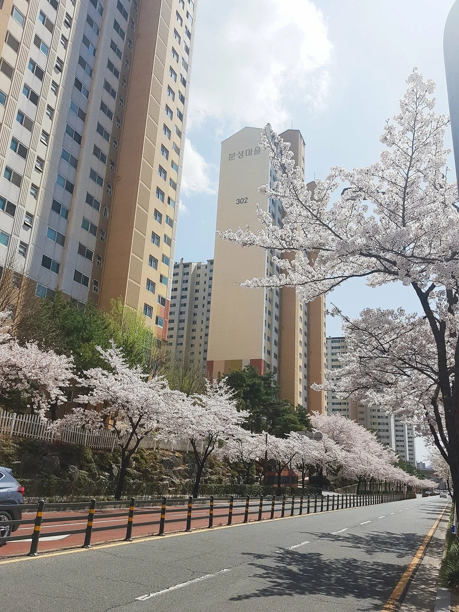 Spring post. Южная Корея Сеул улицы. Данджин Корея. Корейские улицы в Сеуле.