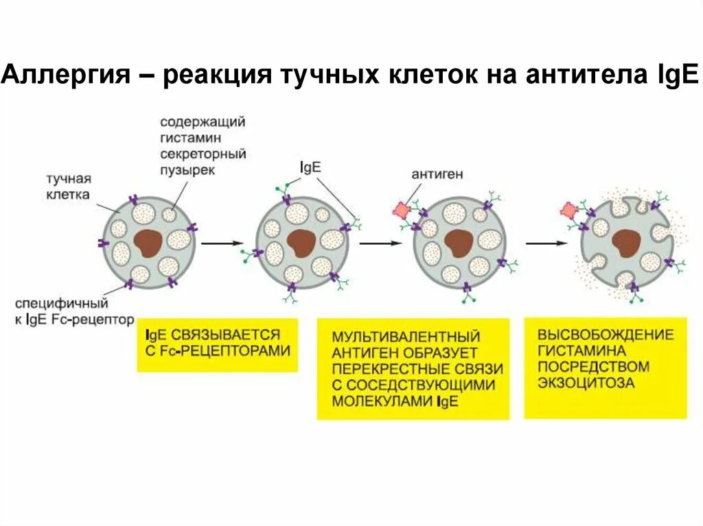 Как сделать реакцию стимуляции