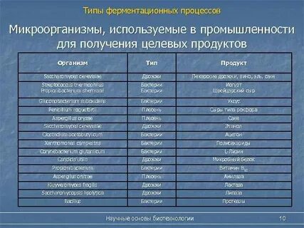 Для каких видов продукции человек использует микроорганизмы