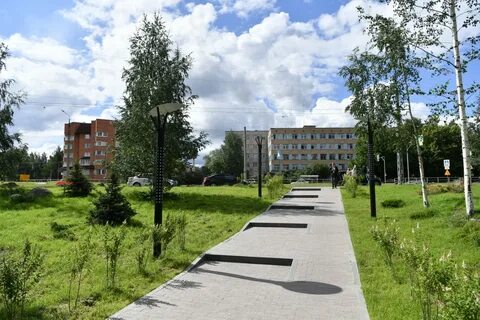 Березовая аллея петрозаводск