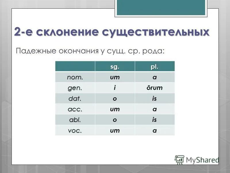 существительное 2 склонения в латинском. 2 существительных. существительные 2ого склонения. существительное второго склонения в латинском языке. склонение существительных 2го склонения.