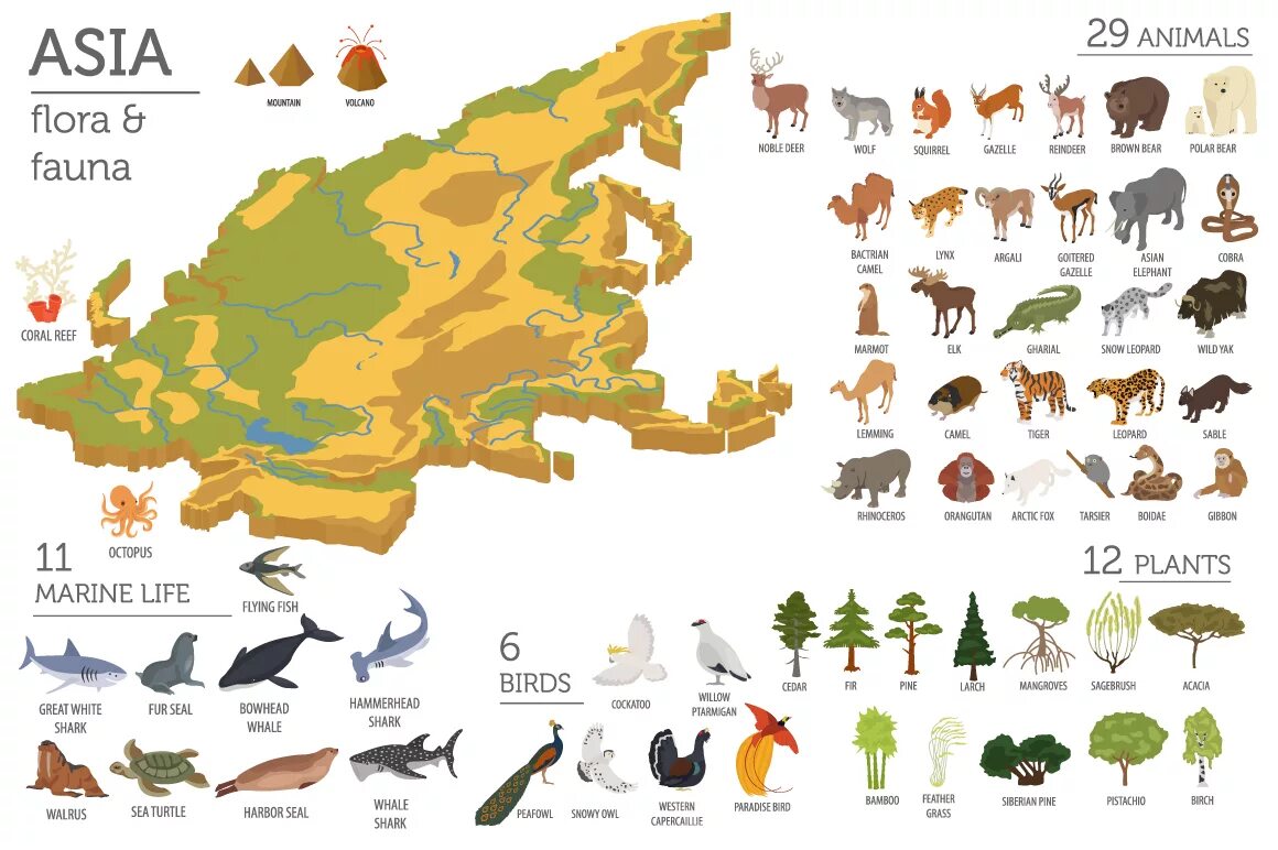 Flora and fauna of the british isles