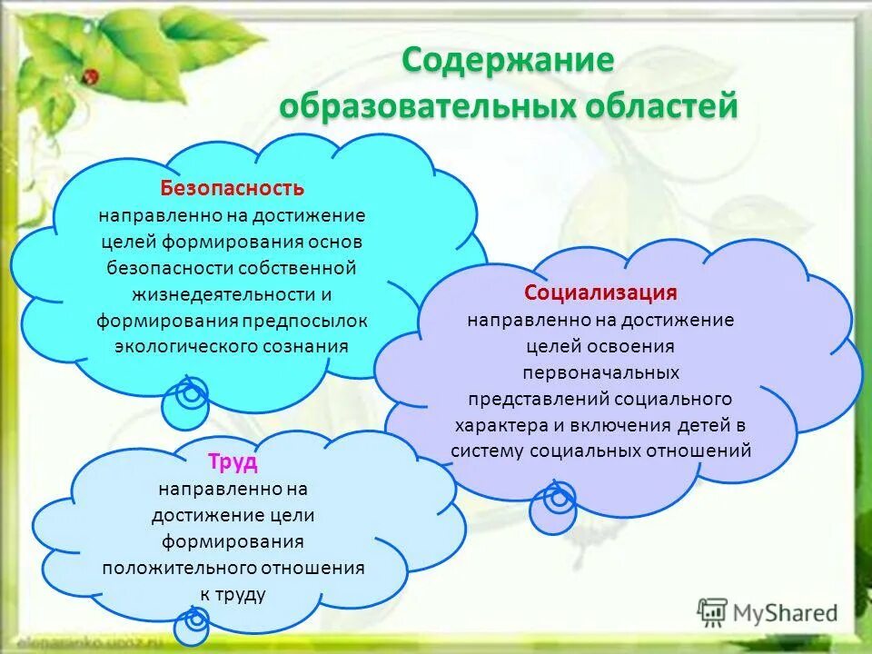 Собственно содержание образования. Собственно содержание образования