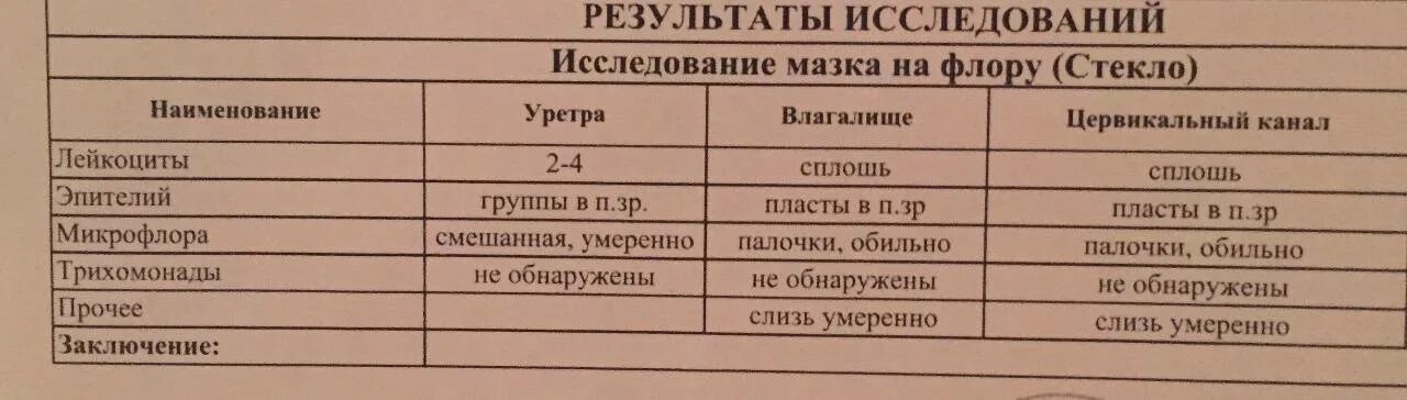 Микрофлора с преобладанием палочек. Микрофлора палочки в мазке. палочковидная микрофлора в мазке у женщин норма.