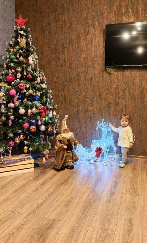 понравилась елка