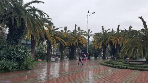 Сочи на сегодняшний день