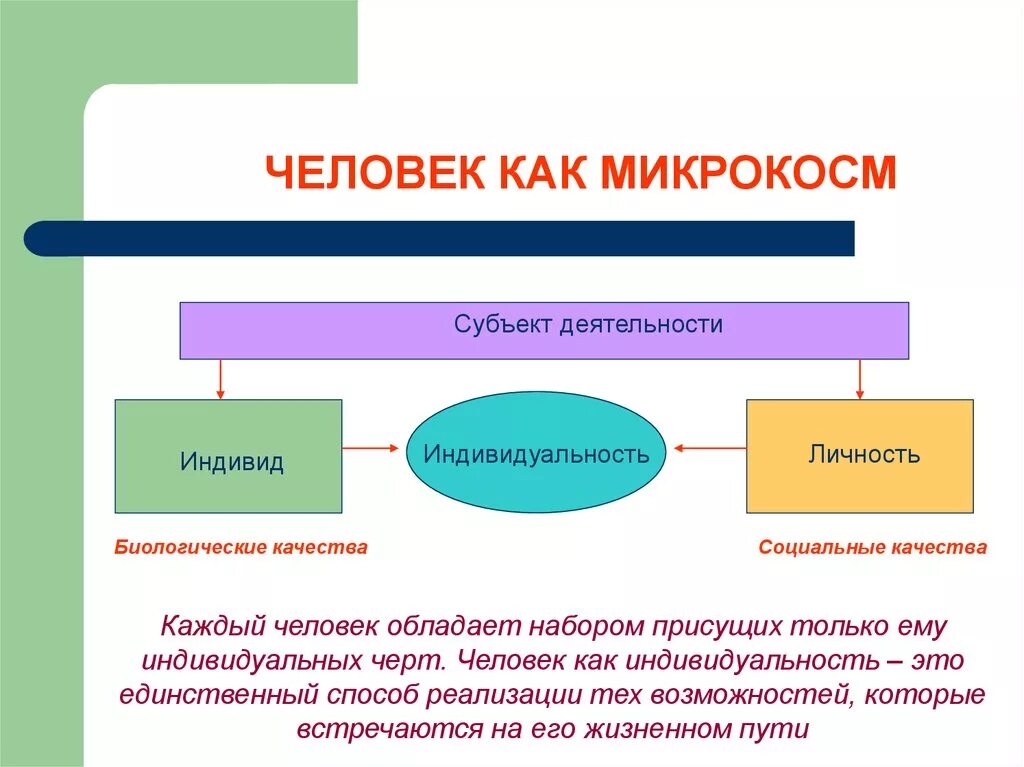 Микрокосм это