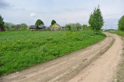 Погода сосновка тверская