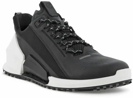 Ecco biom 2.0