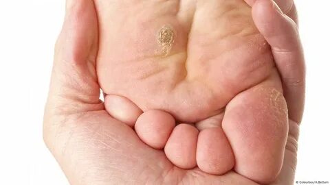 Түрмедегі порно полиция