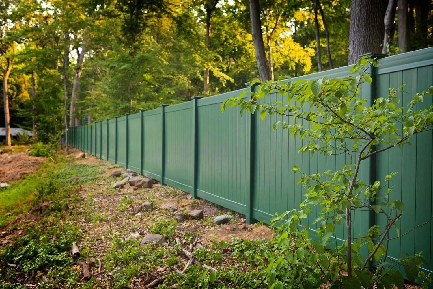 Красивый цвет забора. Зеленый деревянный забор. Красивый зеленый для забора деревянного. Дом с зеленым забором. Деревянный забор зеленого цвета.