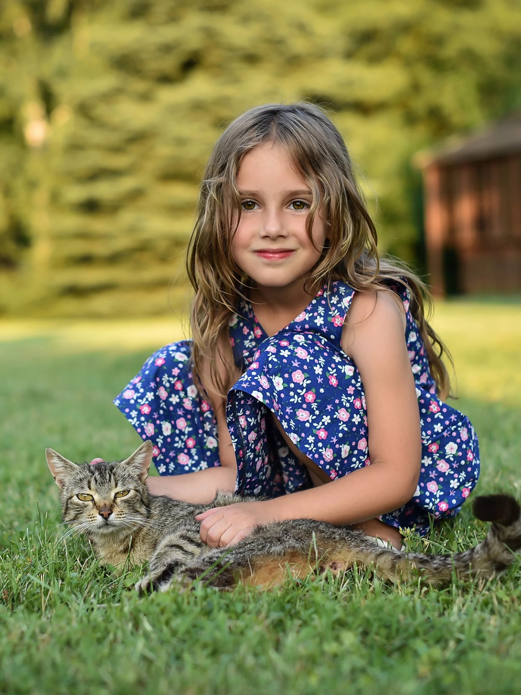 Котик девочка 6. Девушка с котенком. Маленькие кошка девочки. Девочка с котятами. Кошка для детей.