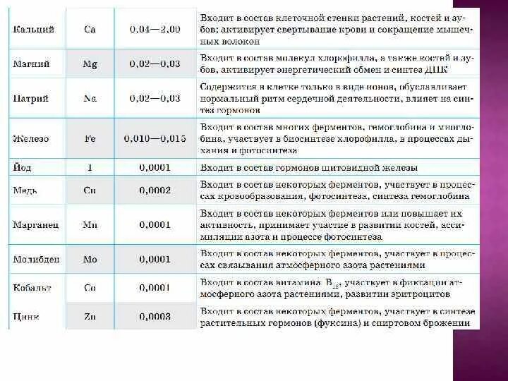 Ферменты участвующие в синтезе белка. Ферменты участвующие в биосинтезе белка. Ферменты учавствующ е в биосинтезе белка. Какие ферменты участвуют в синтезе белка. Ферменты участвующие в биосинтезе белка таблица.