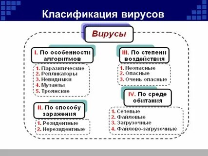 Виды вирусов и их особенности