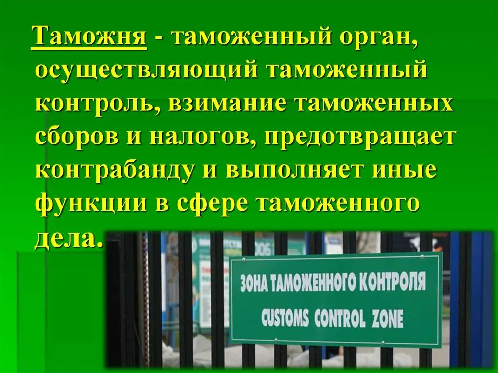 Таможенные органы осуществляют защиту. Федеральная таможенная служба Российской Федерации. Федеральная таможенная служба доклад. Томажняя дело презентация.