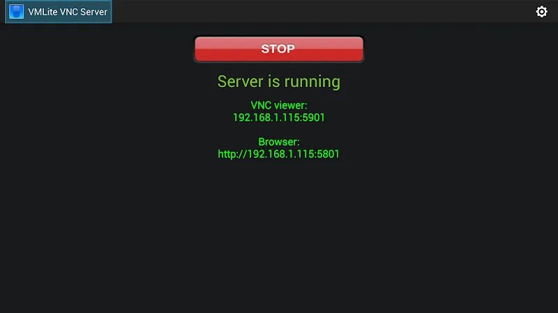 Через vnc. Vnc сервер. vnc viewer. vnc клиент. vnc server россия.