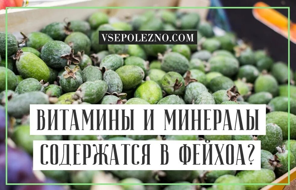 Фейхоа кбжу. Фейхоа микроэлементы. фейхоа полезные витамины. витамины содержащиеся в фейхоа. фейхоа содержание витаминов.
