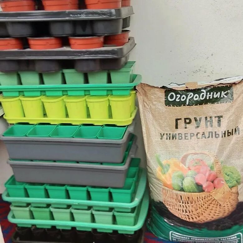 Лучший магазин рассады. Горшки для рассады цветные. цветные контейнеры для рассады.