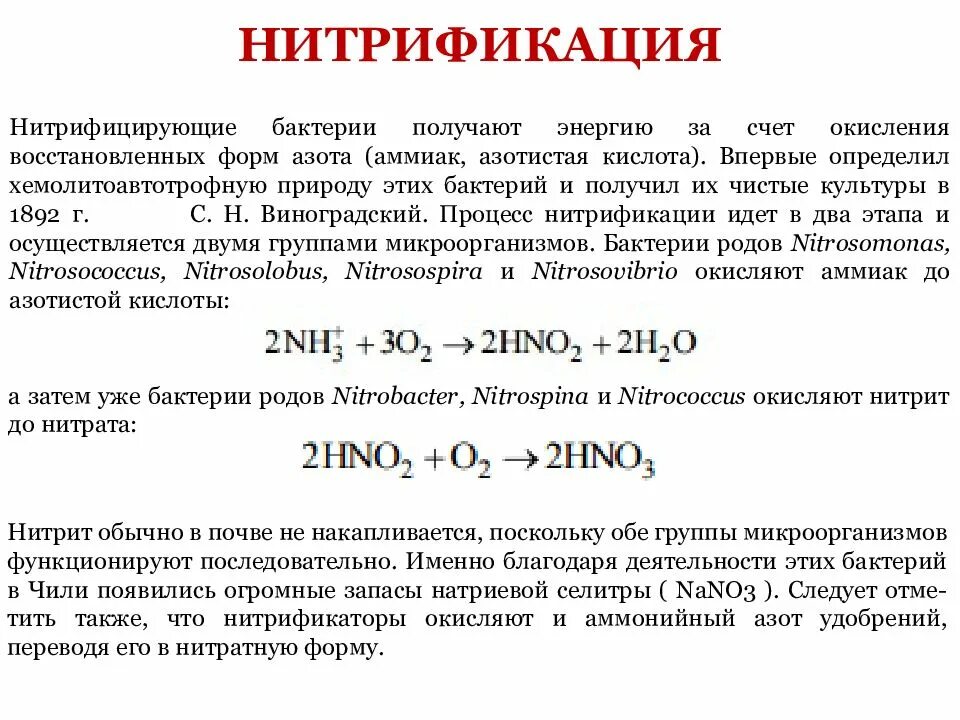 Разложение соединений азота. Нитрификация азота. Процесс нитрификации. Процесс нитрификации и денитрификации. Реакция нитрификации.