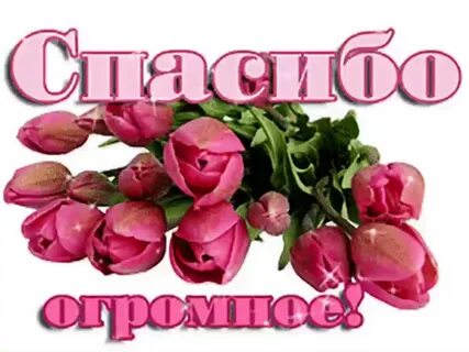 Спасибо дорогая песня