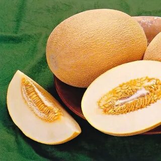 Дыня ананас