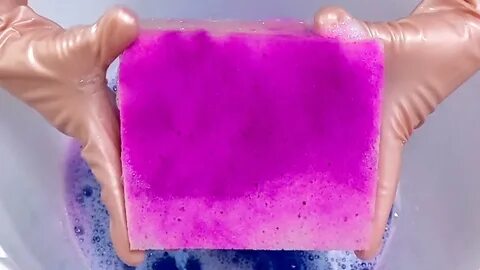 Berenice sponge