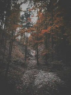 Gray fallen