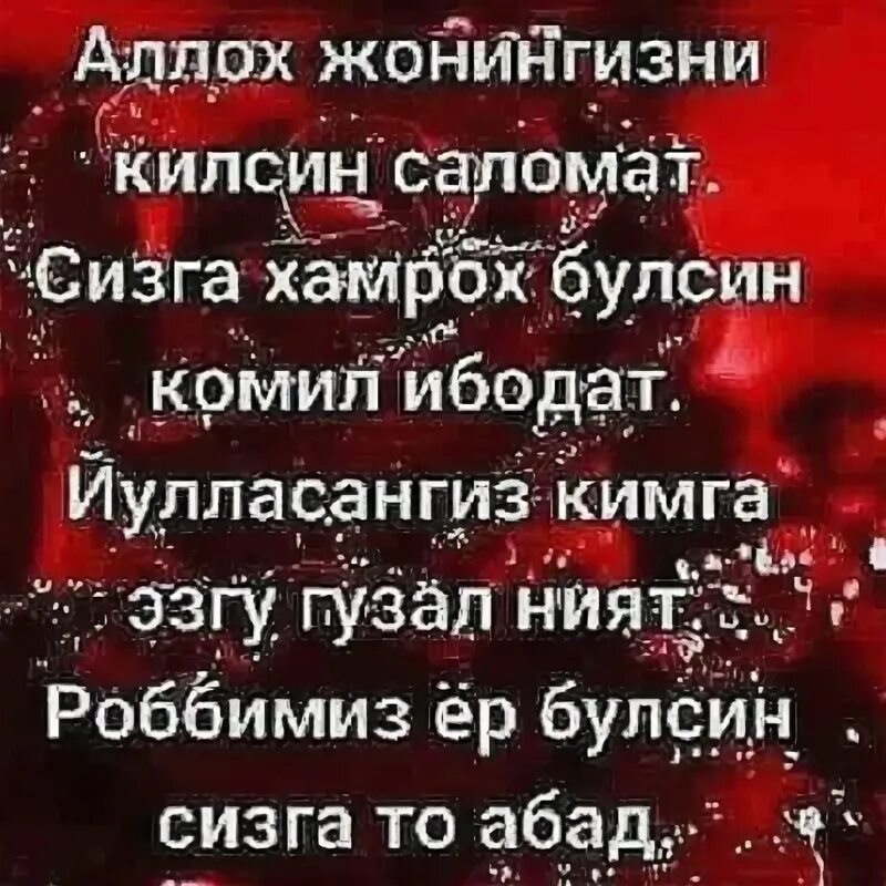 Саломат булинг. Аллох панохида асрасин. Рахмат сог булинг. Опажон. Сог саломат булинг.
