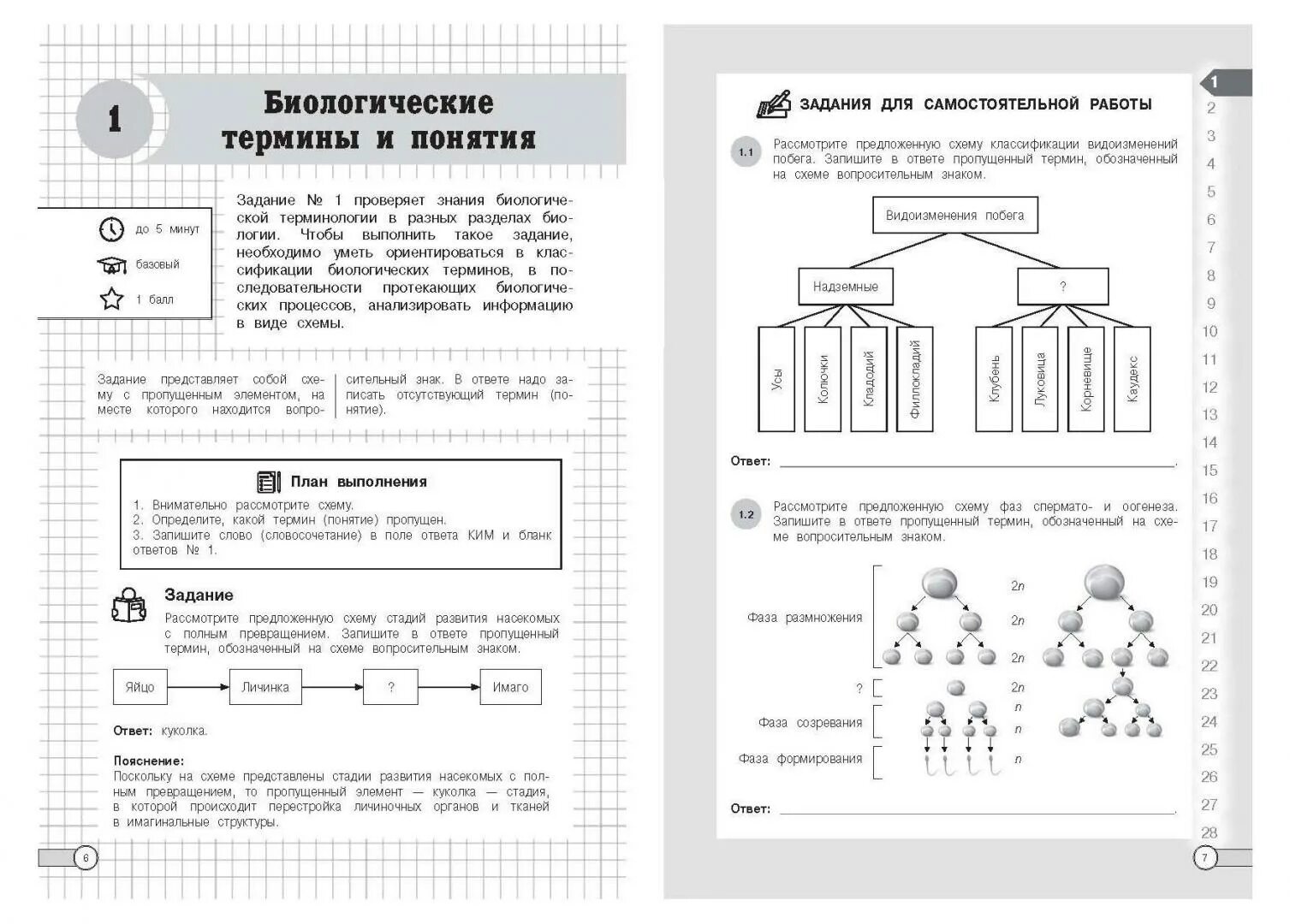 Алгоритмы выполнения биология ЕГЭ. Алгоритм решений заданий для ЕГЭ для биологии. Книга география алгоритмы выполнения типовых заданий ЕГЭ. Биология алгоритмы выполнения типовых заданий Лаптева. Рассмотрите предложенную модель и выполните следующие задания