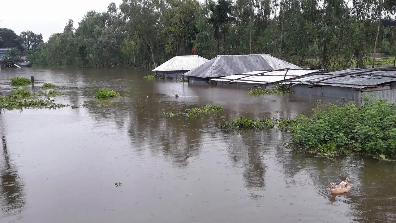 Муссонные дожди вызывают половодье на реке в Евразии. Наводнение сельского хозя муссонных дождей. Озеро Каптаи Бангладеш.