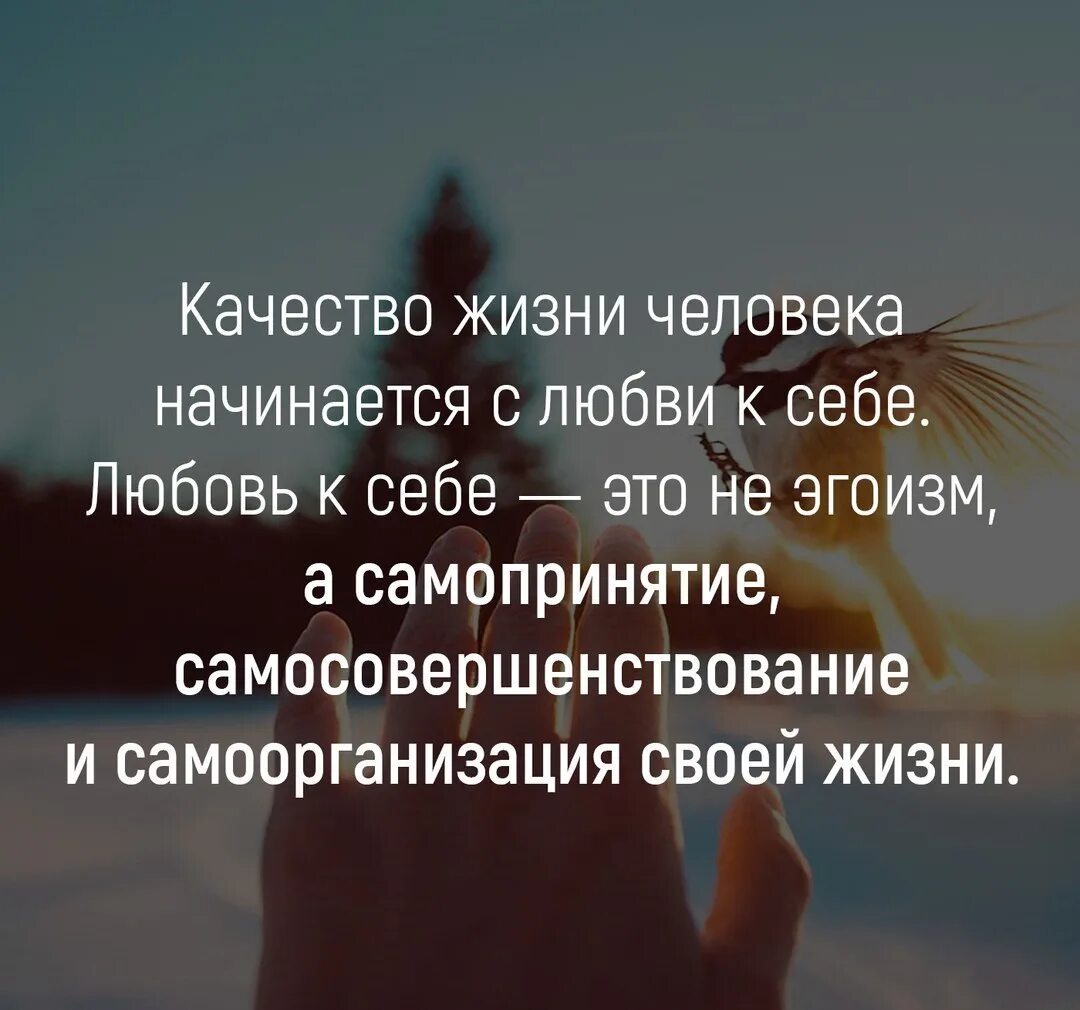 Цитаты р любви. Психологические высказывания. любовь к себе цитаты. психологические цитаты. психология цитаты.
