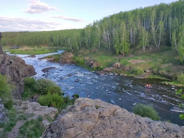 Северная тайга мурманская область. Река хлеб. Река хлебная кольский полуостров. Терский берег кольского. Трава вдоль дороги.