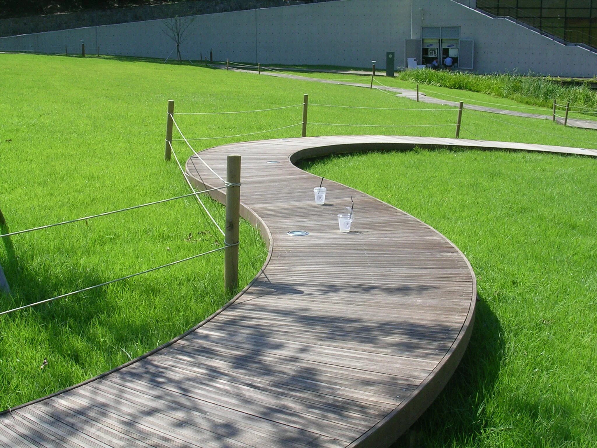 Curve path. Curve path