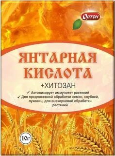 Янтарная 10