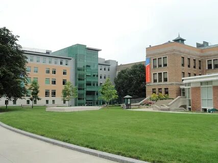 Selection university