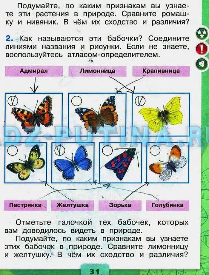 Окружающий мир 2 класс рабочая тетрадь 2 часть класс Плешаков. Окружающий мир 2 класс рабочая тетрадь 1 часть Плешаков стр 31. Окружающий мир 2 класс рабочая тетрадь 1 часть стр 29. Плешаков а. а. "окружающий мир. Рабочая тетрадь. 2 Класс. Часть 1".