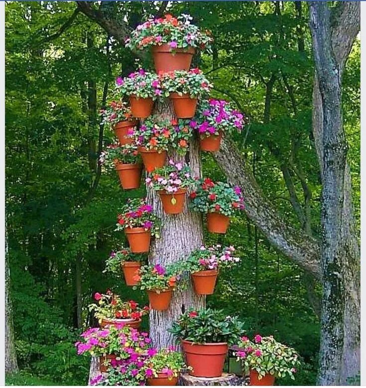 Что можно сделать из деревьев на даче