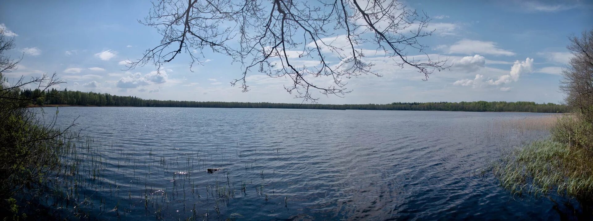 Озеро глубокое рузский. Озеро глубокое Рузский район. Озеро глубокое Тучково. Глубокое (озеро, Смоленская область). Тучково озеро Ленинградская область.