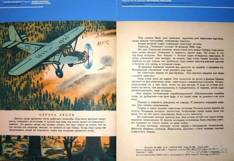 Должен растаять. Каким был цветом самолёт в помощь идёт. В Тамби танки детская книжка.