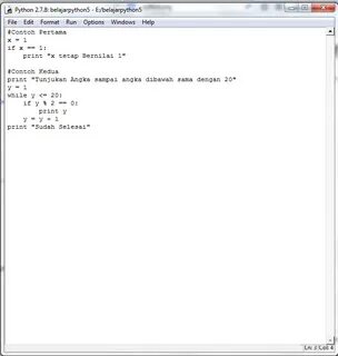 Python текст на экране