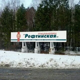 Рефтинская форель екатеринбург
