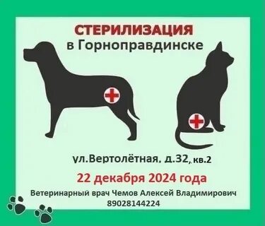 Минусы кастрации кобеля