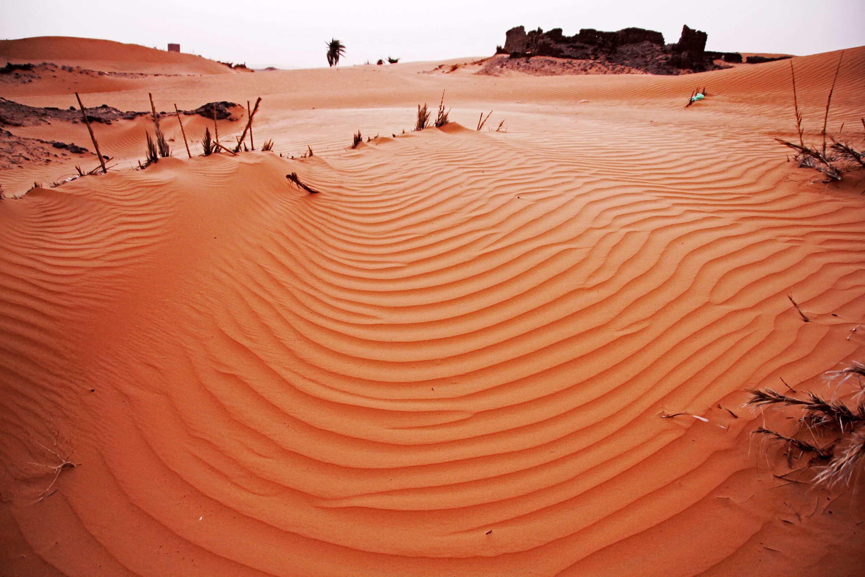 Дюна интересные факты. Пустыня эрг. Пустыни сахара, нубийская пустыня,. Sahara Desert, Algeria, Африка. Зыбучие Пески «дюны».